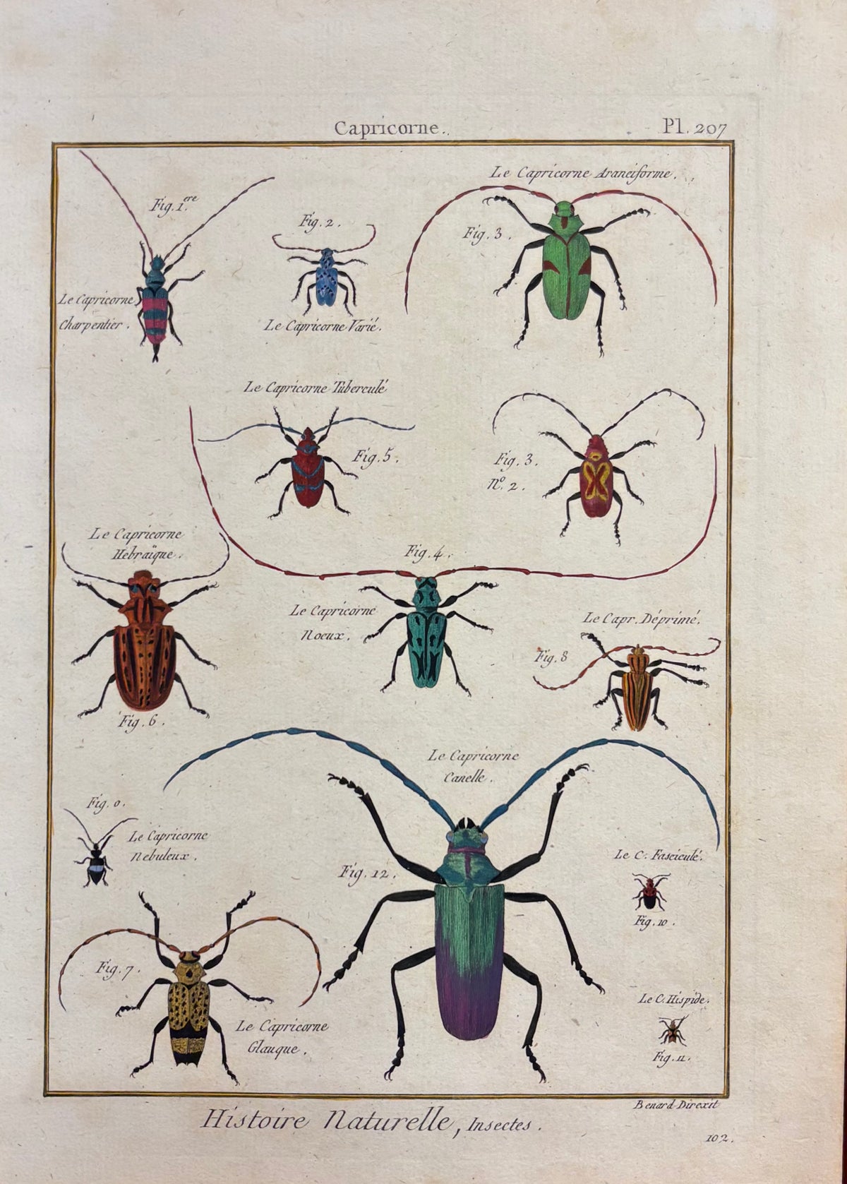 Capricorne (Plate 207) by Robert Bénard