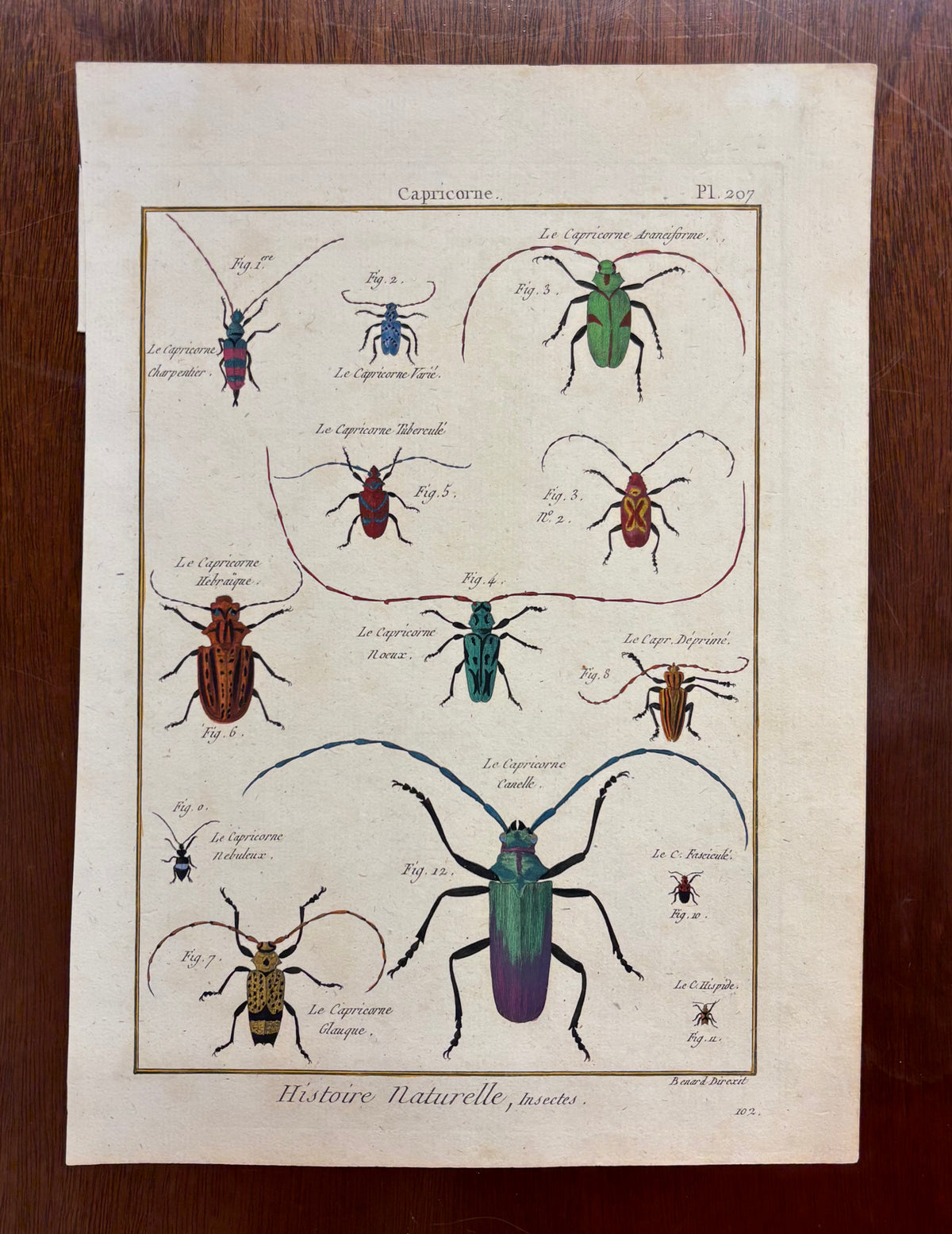Capricorne (Plate 207) by Robert Bénard