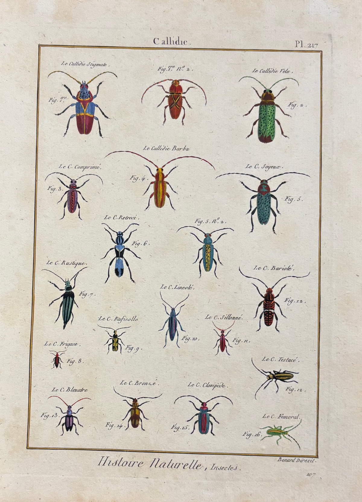 Callidie (Plate 217) by Robert Bénard