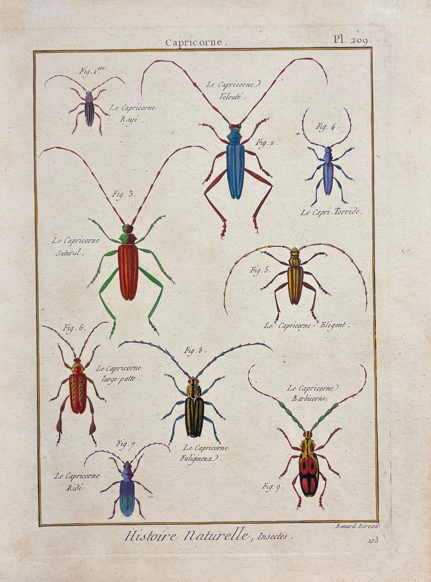 Capricorne (Plate 209) by Robert Bénard