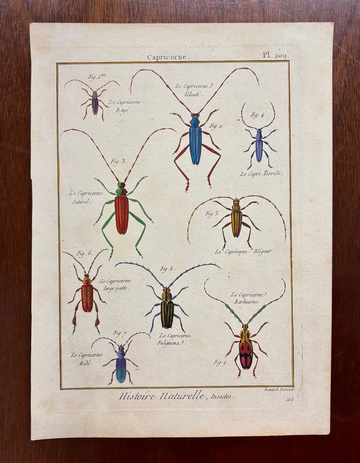Capricorne (Plate 209) by Robert Bénard