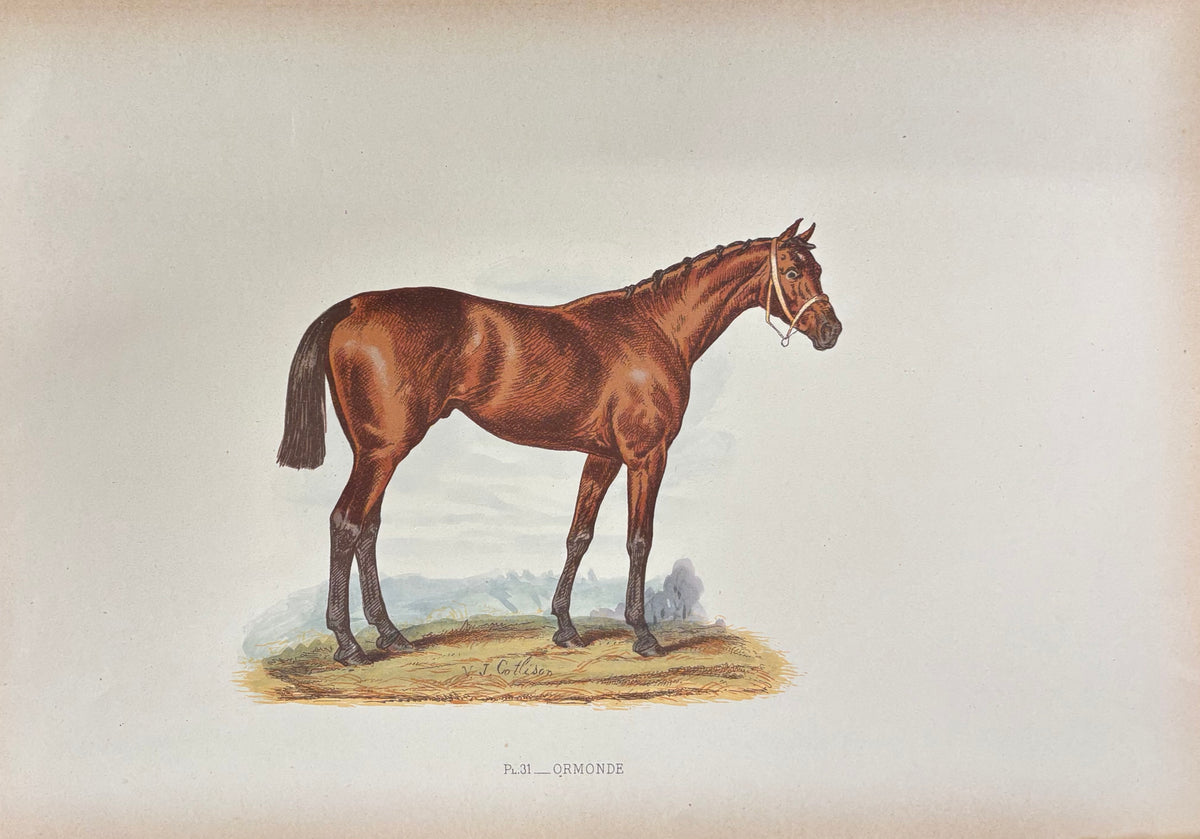 Ormonde by John C. Nimmo