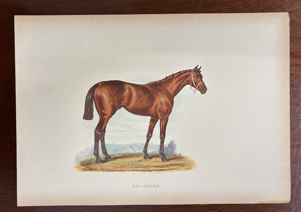 Ormonde by John C. Nimmo