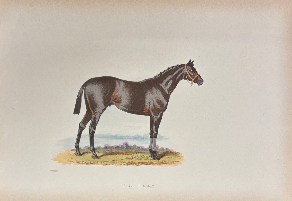 Bendigo by John C. Nimmo