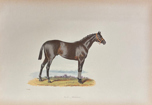 Bendigo by John C. Nimmo