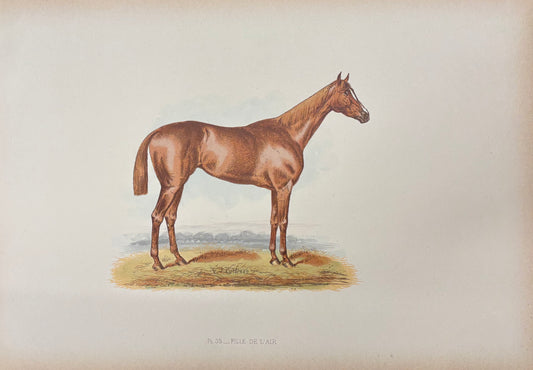 Fille de l'Air by John C. Nimmo