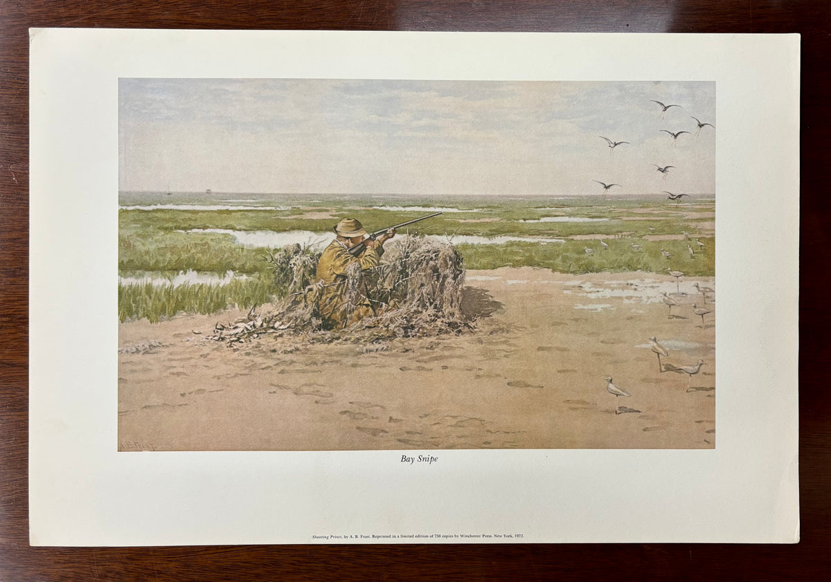 Bay Snipe by Arthur Burdett Frost (A. B. Frost)