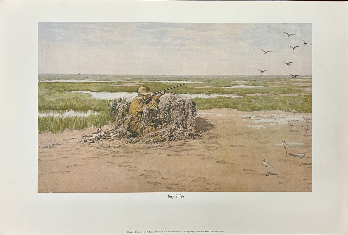 Bay Snipe by Arthur Burdett Frost (A. B. Frost)
