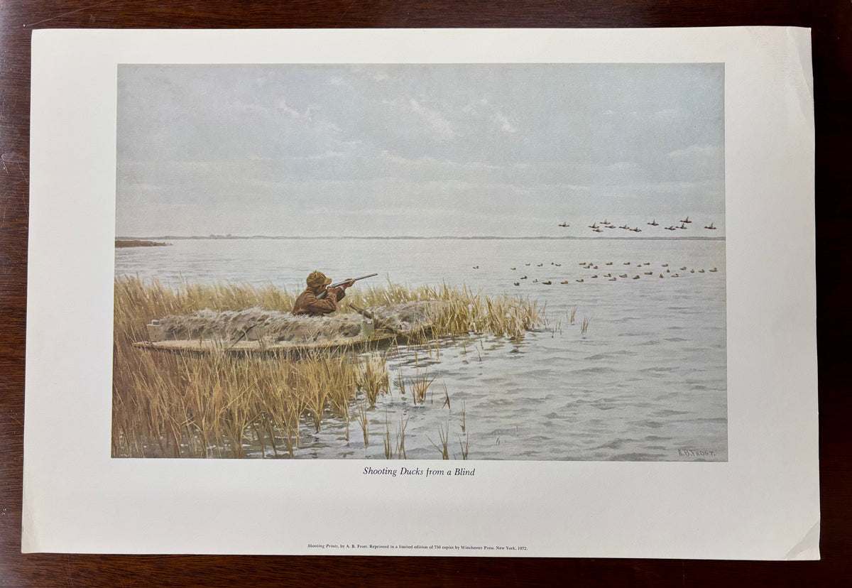 Shooting Ducks from a Blind by Arthur Burdett Frost (A. B. Frost)