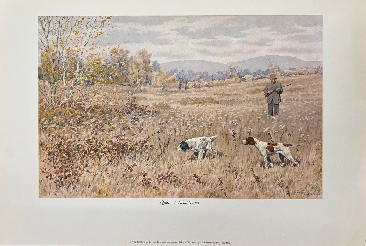 Quail—A Dead Stand by Arthur Burdett Frost (A. B. Frost)