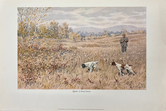 Quail—A Dead Stand by Arthur Burdett Frost (A. B. Frost)