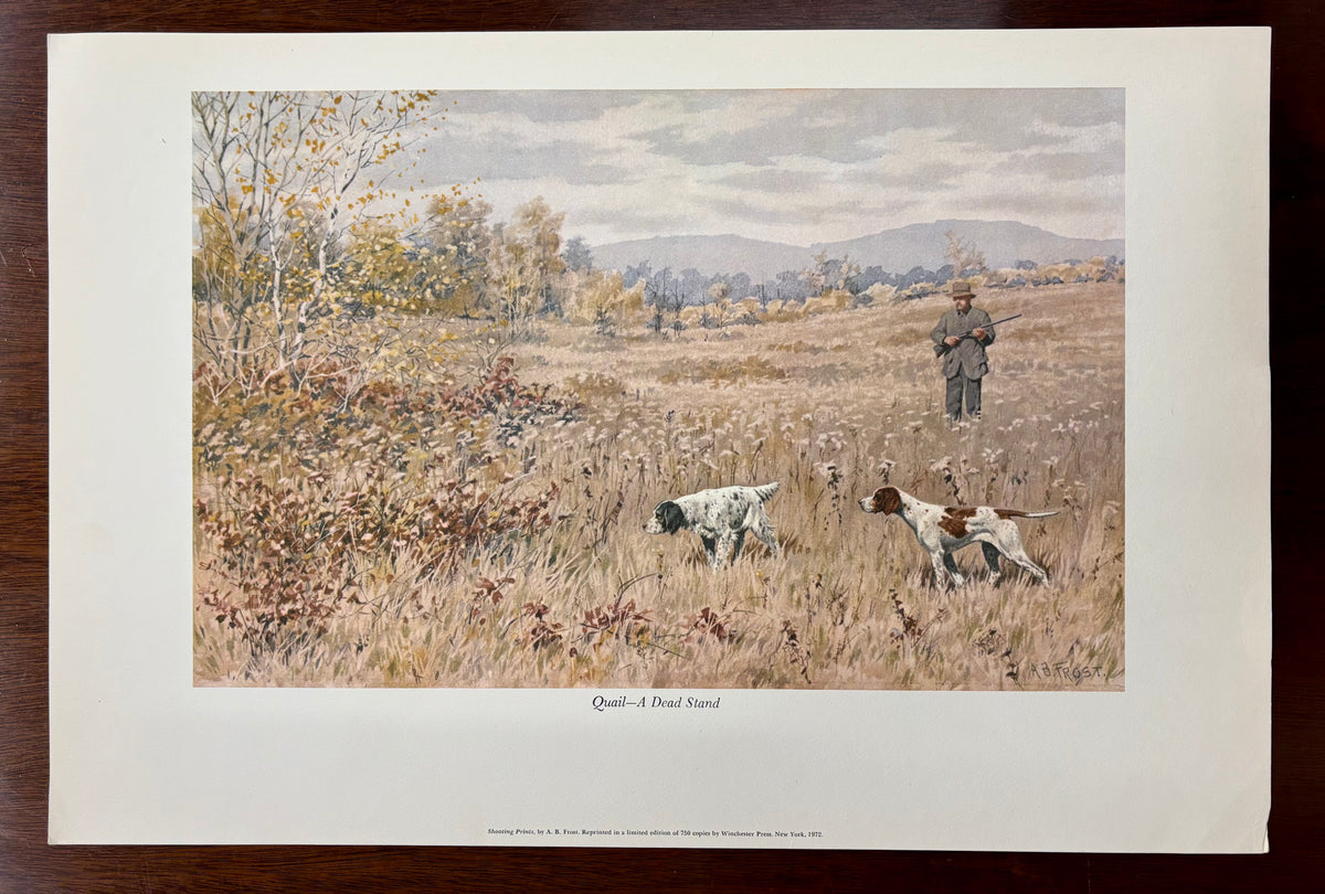 Quail—A Dead Stand by Arthur Burdett Frost (A. B. Frost)
