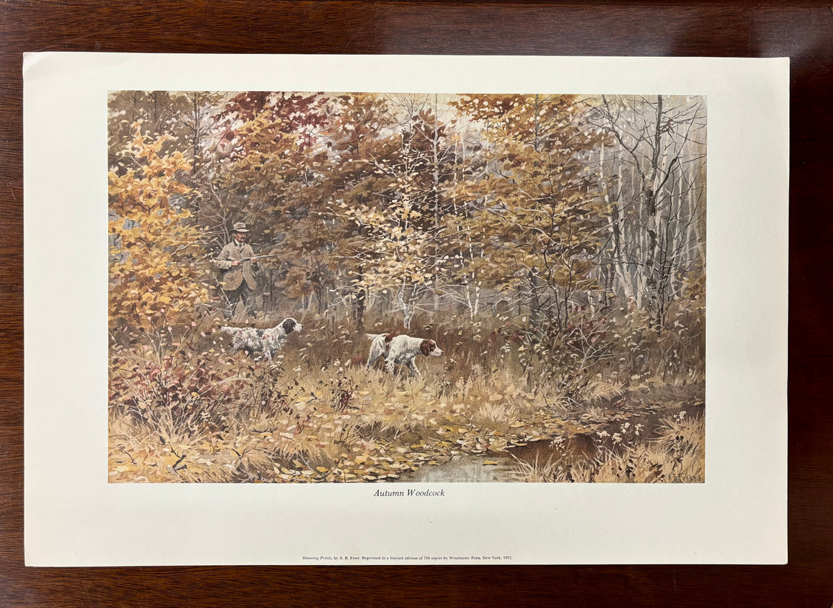 Autumn Woodcock by Arthur Burdett Frost (A. B. Frost)