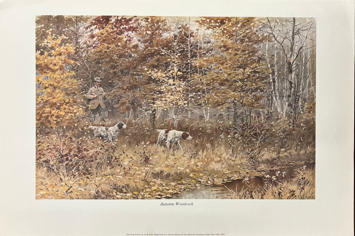 Autumn Woodcock by Arthur Burdett Frost (A. B. Frost)