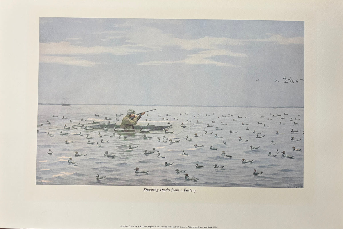Shooting Ducks from a Battery by Arthur Burdett Frost (A. B. Frost)