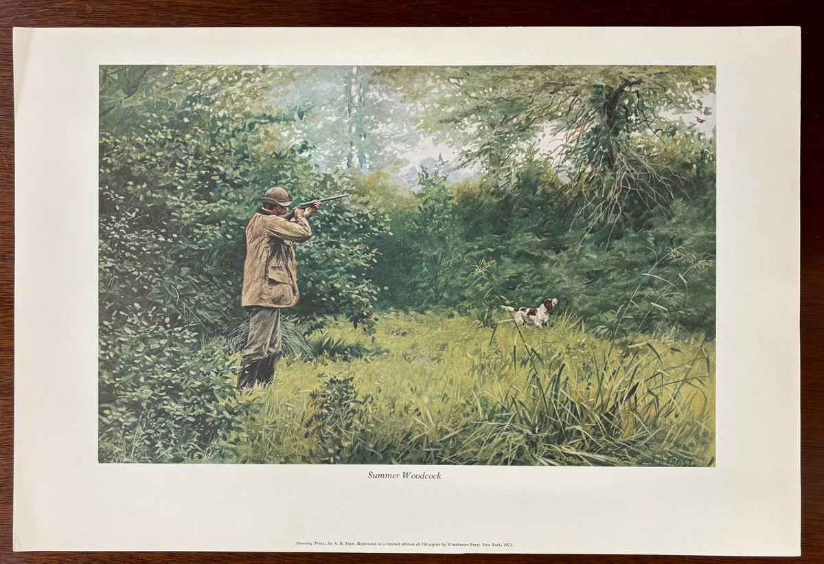 Summer Woodcock by Arthur Burdett Frost (A. B. Frost)