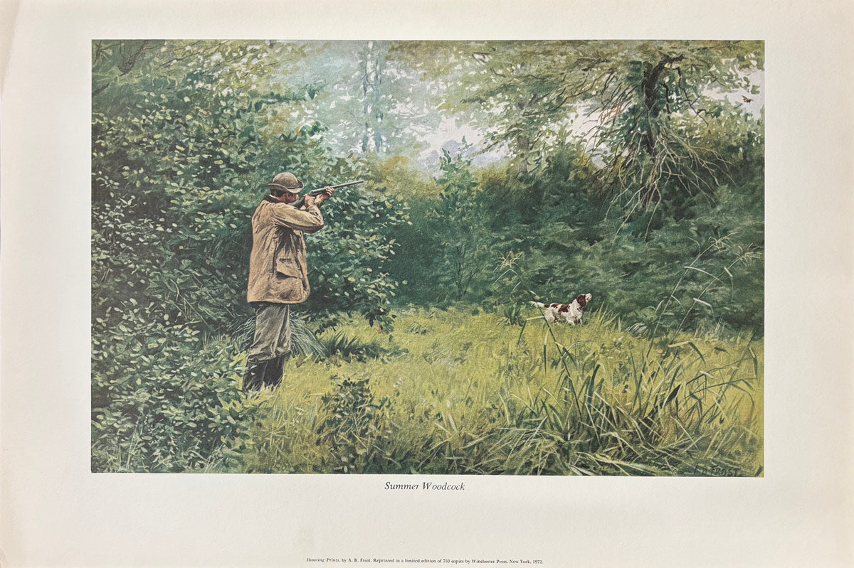 Summer Woodcock by Arthur Burdett Frost (A. B. Frost)