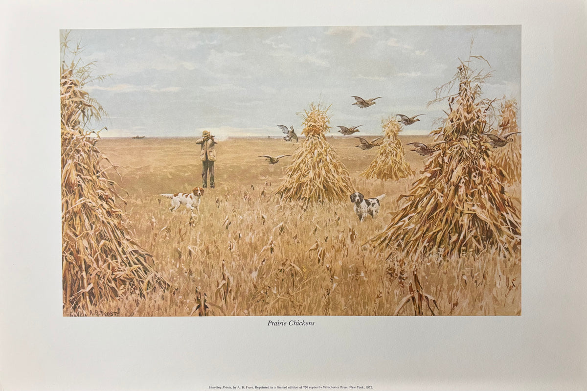 Prairie Chickens by Arthur Burdett Frost (A. B. Frost)