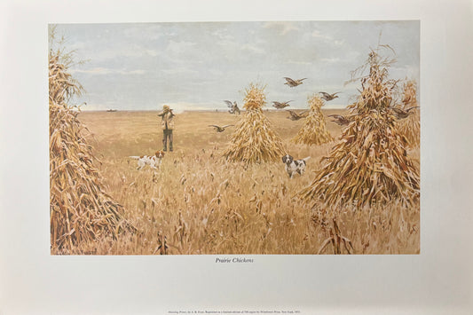 Prairie Chickens by Arthur Burdett Frost (A. B. Frost)